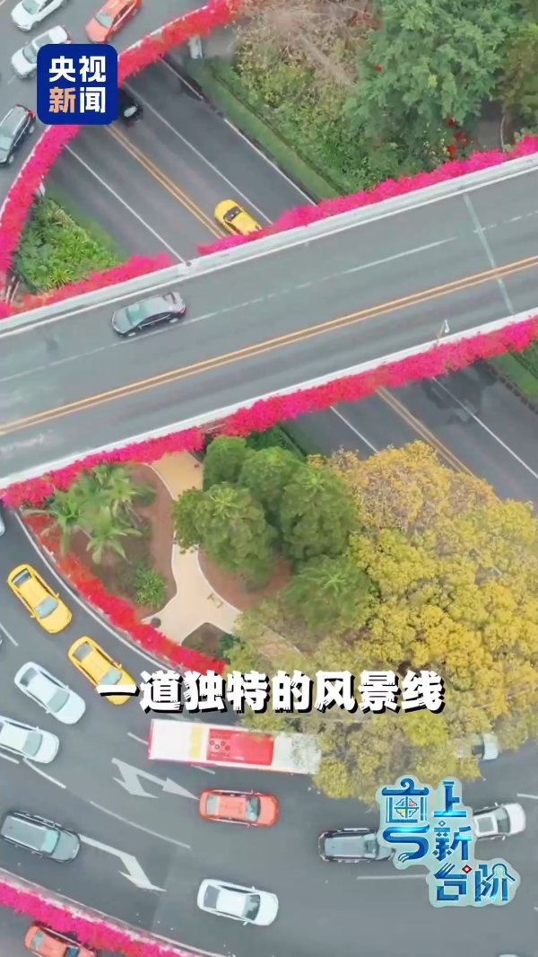 捷希缘配资 “粤”上新台阶丨春天花会开 但什么花能开一年四季？