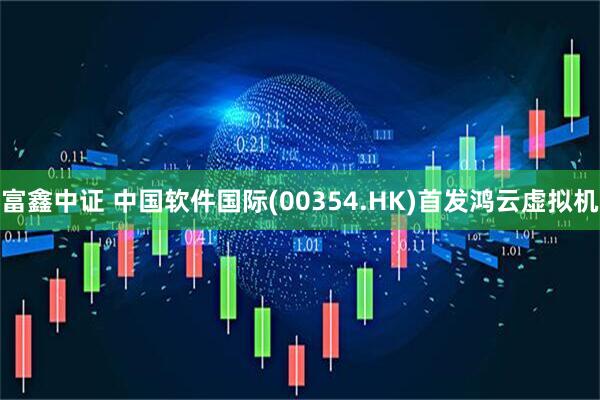 富鑫中证 中国软件国际(00354.HK)首发鸿云虚拟机