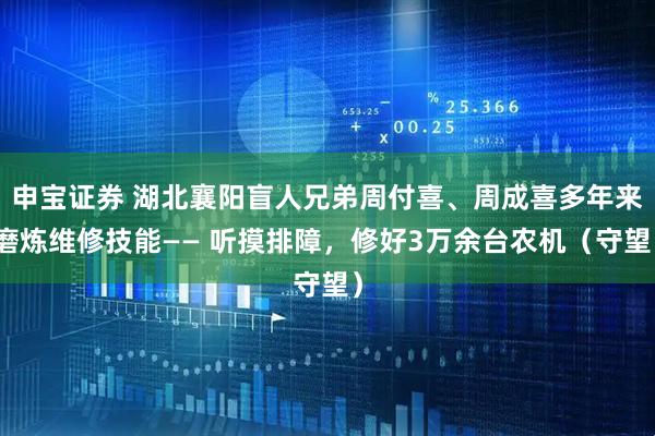 申宝证券 湖北襄阳盲人兄弟周付喜、周成喜多年来磨炼维修技能—— 听摸排障，修好3万余台农机（守望）